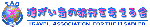 Ⴊ҂̗sl(C)oi[